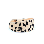 Leopard Dog Collar Wide