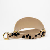 Leopard Dog Martingale Wide