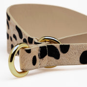 Leopard Dog Martingale Wide