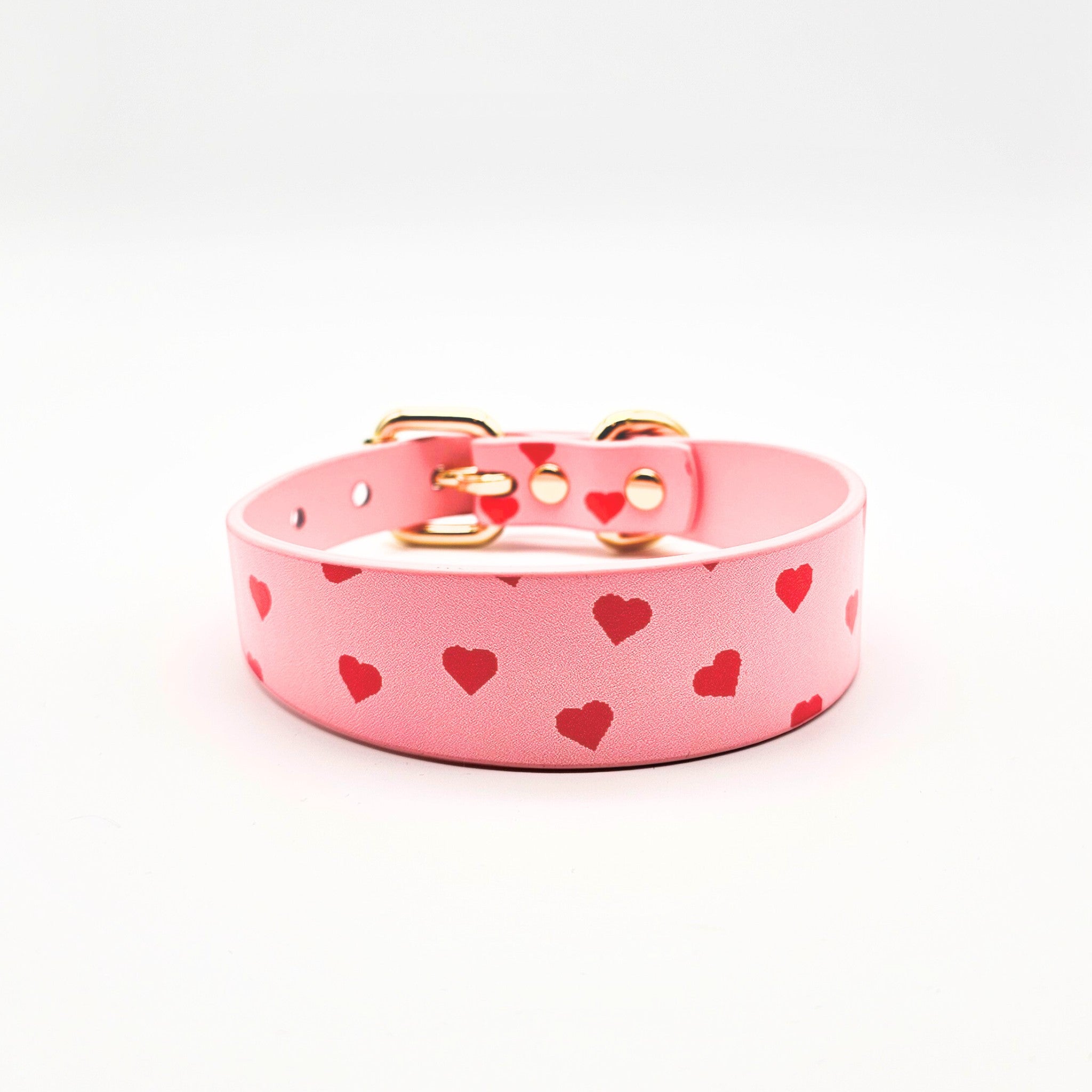 love-dog-collar-medium-thin-front.jpg