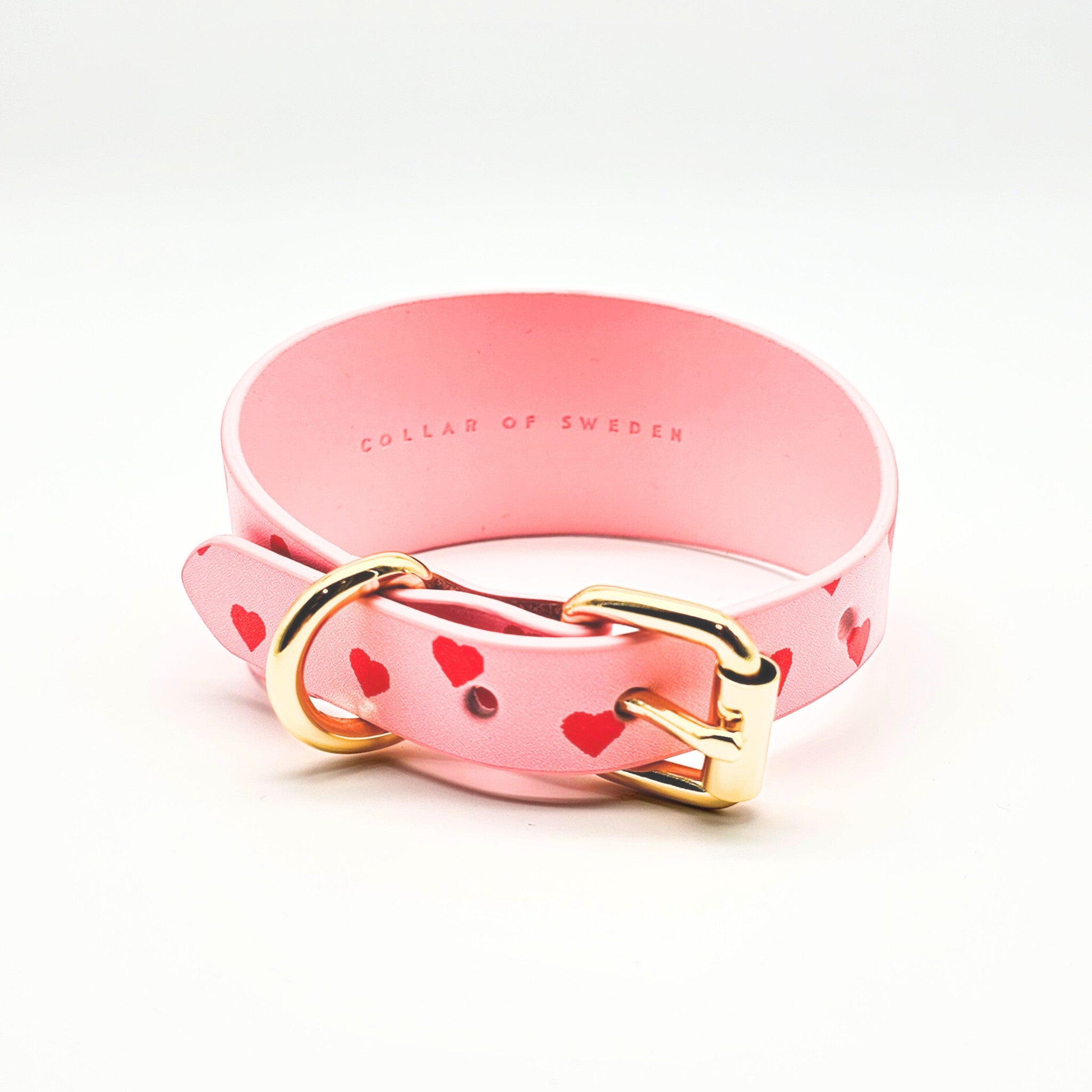 love-dog-collar-medium-wide-back.jpg