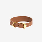 Mocha Brown Dog Collar Thin