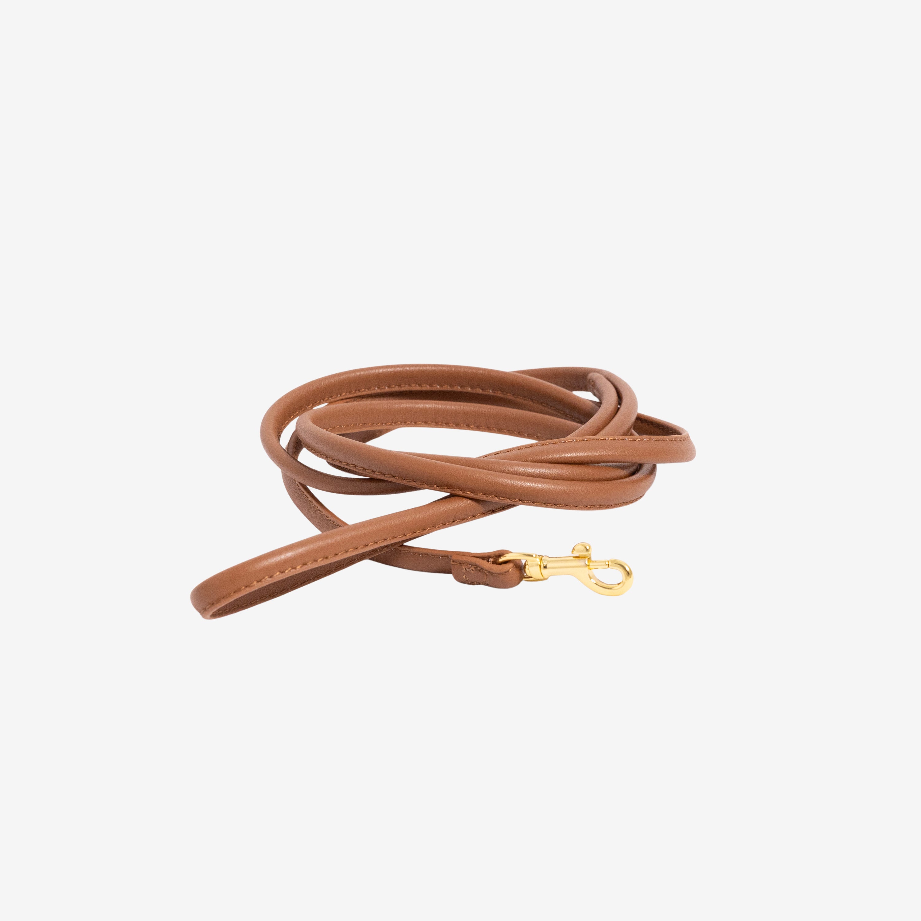 mocca-brown-dog-lead-medium.jpg