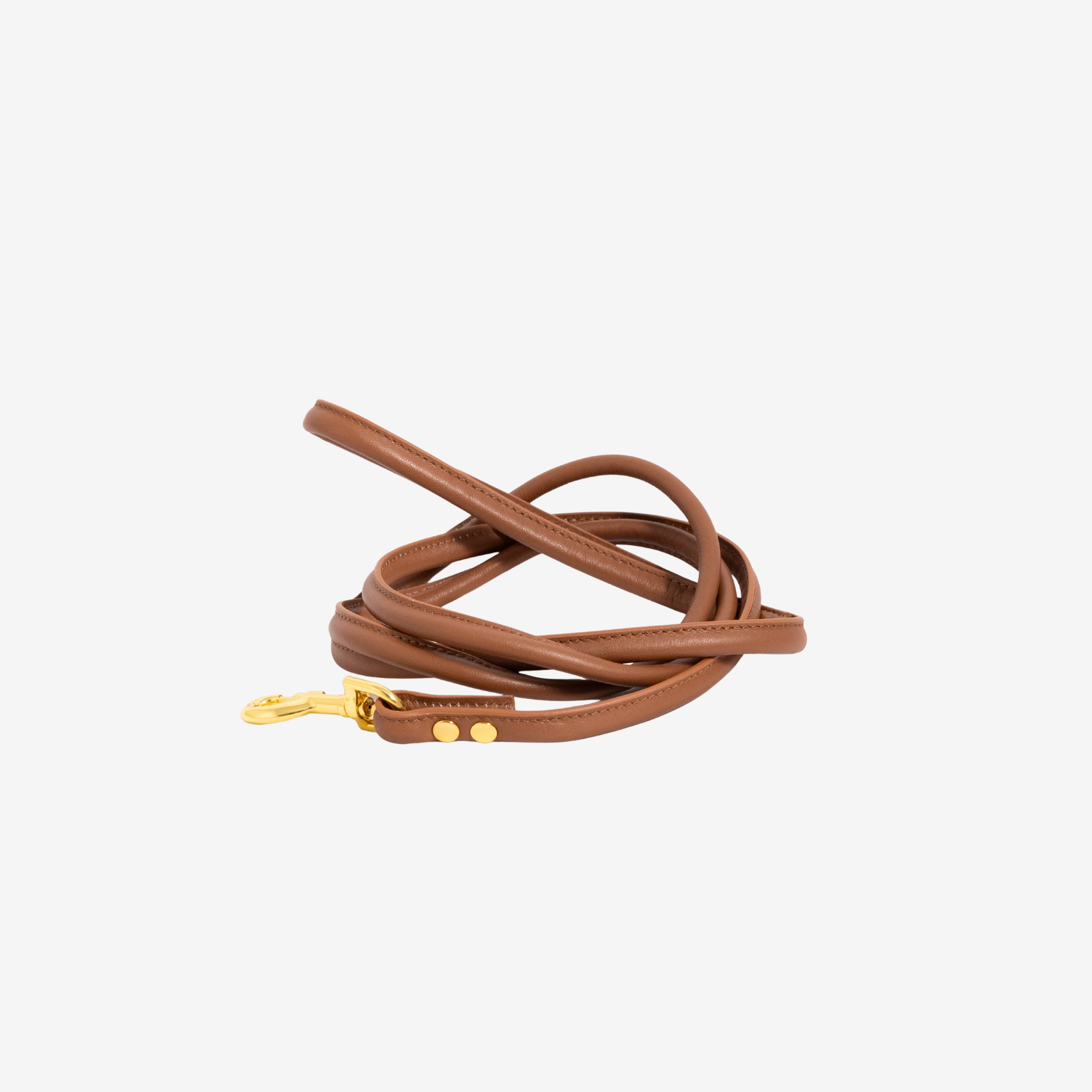 mocca-brown-dog-lead-small.jpg