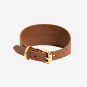 Mocha Brown Dog Collar Wide