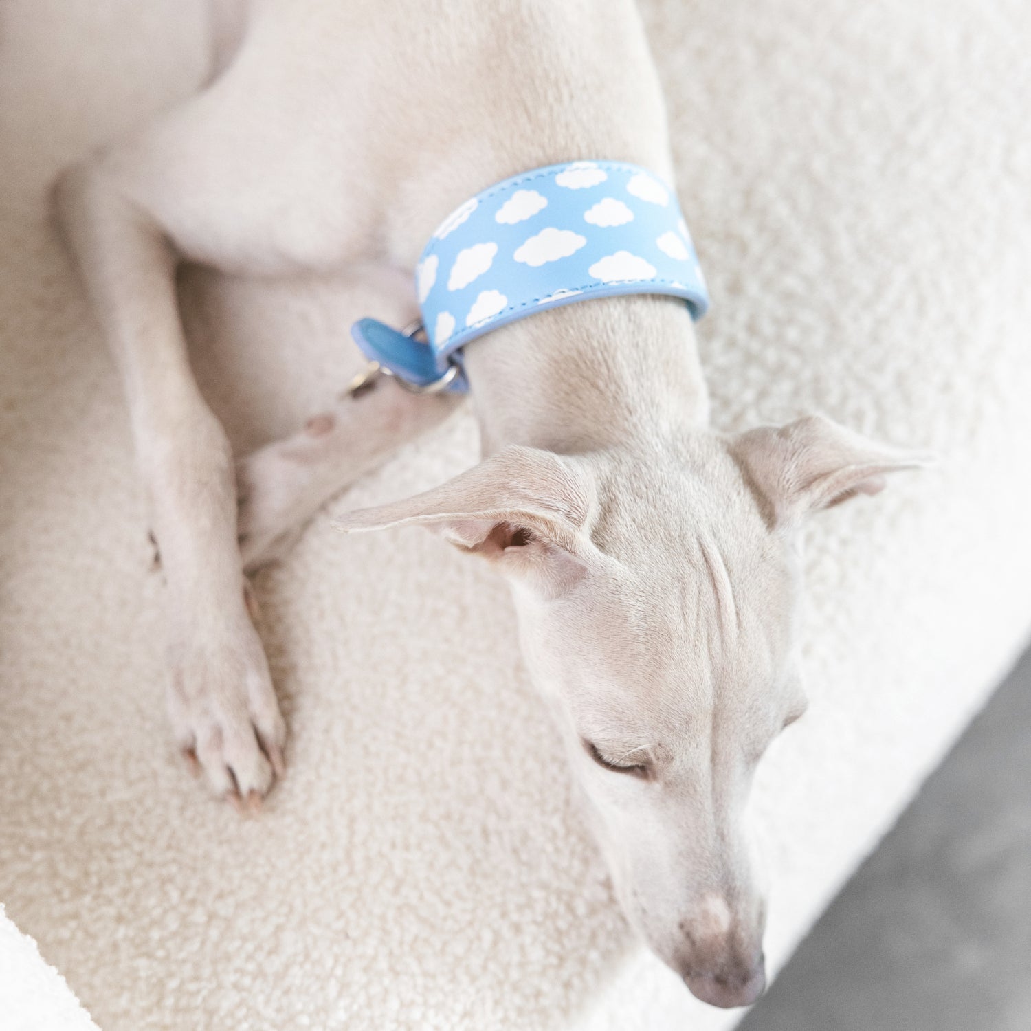 Clouds Dog Collar Wide