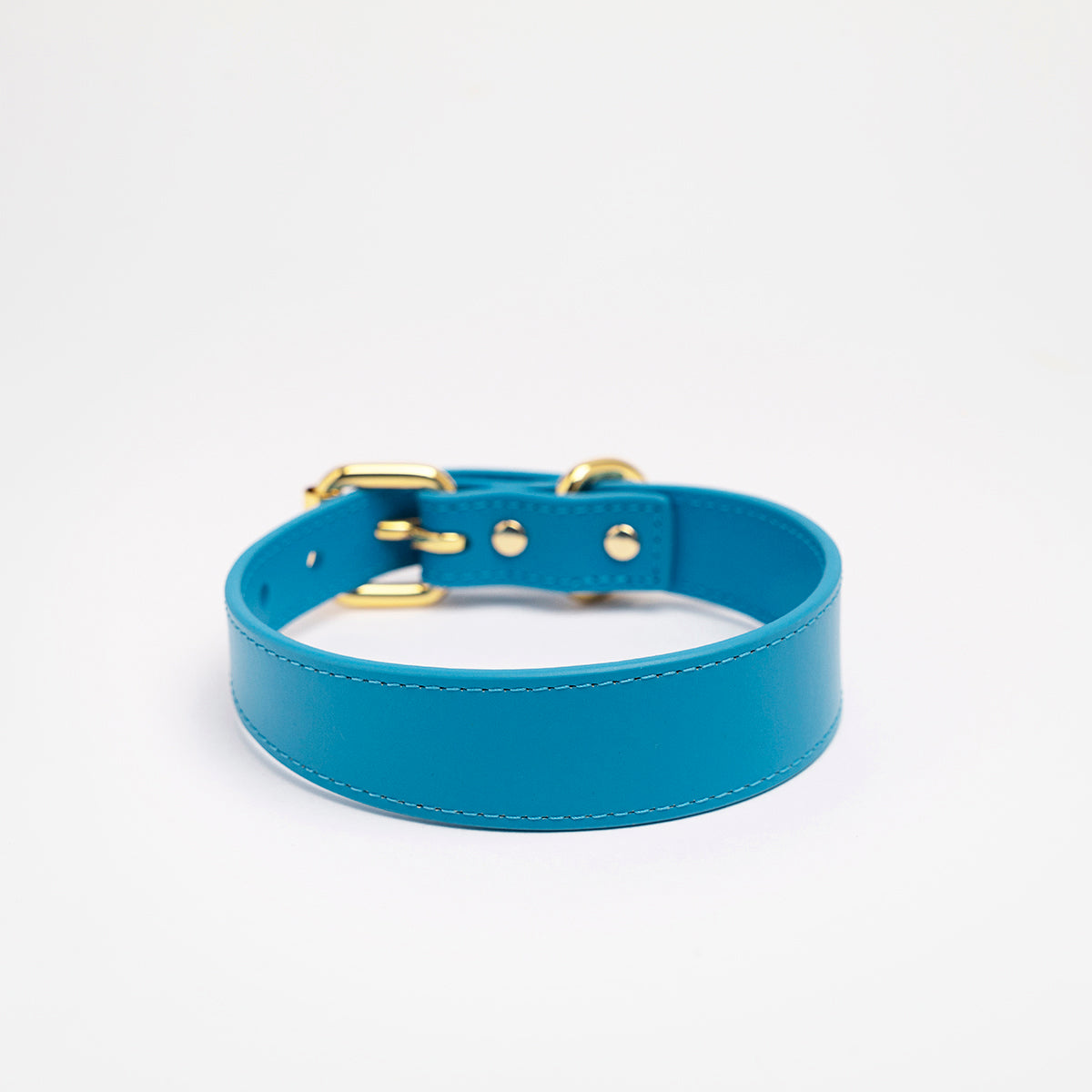 neon-blue-dog-collar-medium-thin.jpg