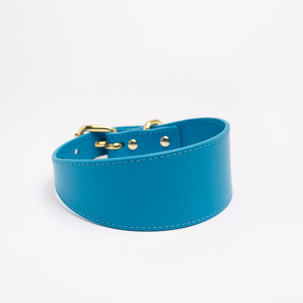 neon-blue-dog-collar-medium-wide.jpg
