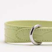 Pastel Green Croco Dog Collar Thin