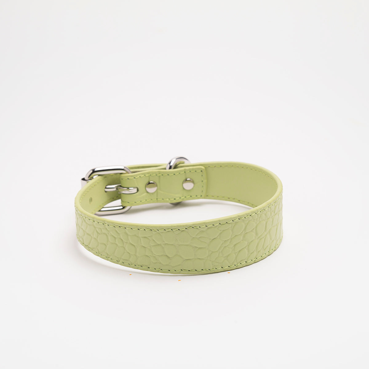 Pastel Green Croco Dog Collar Thin