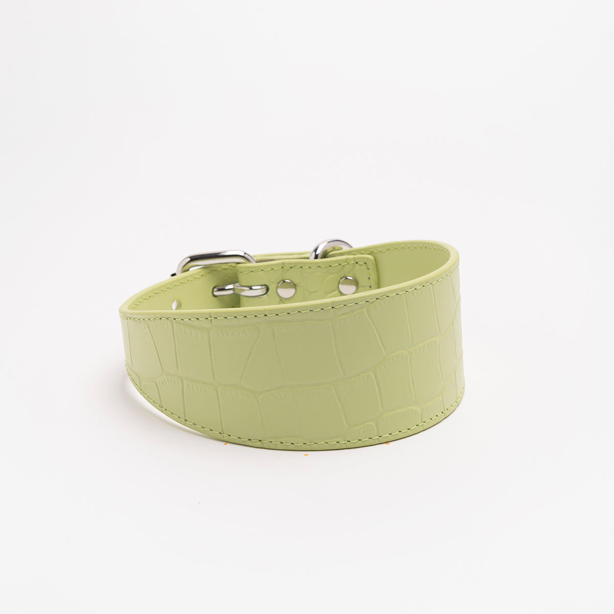 pastel-green-croco-dog-collar-medium-wide.jpg