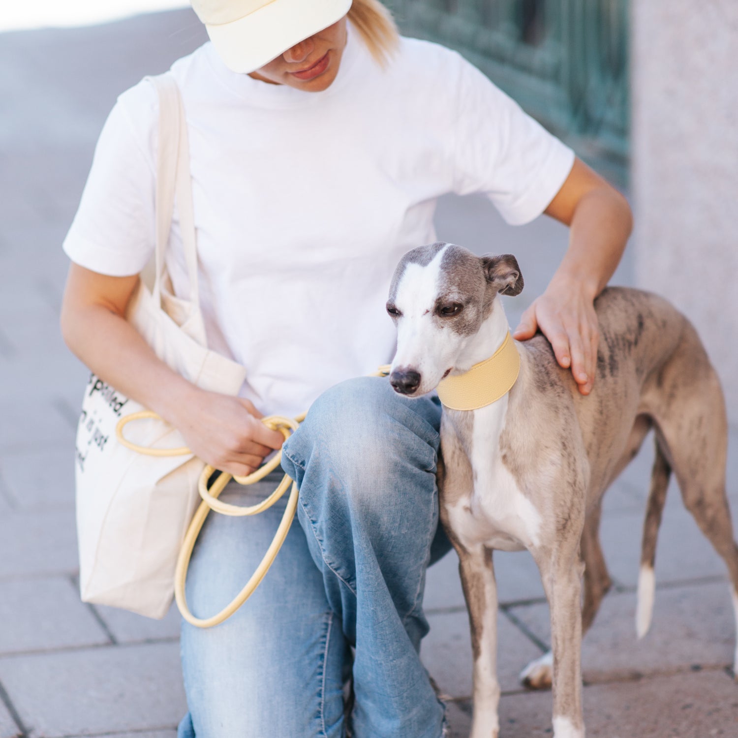 pastel-yellow-dog-lead-whippet_f0b129ec-192c-4813-bc01-1804b8422d5f.jpg