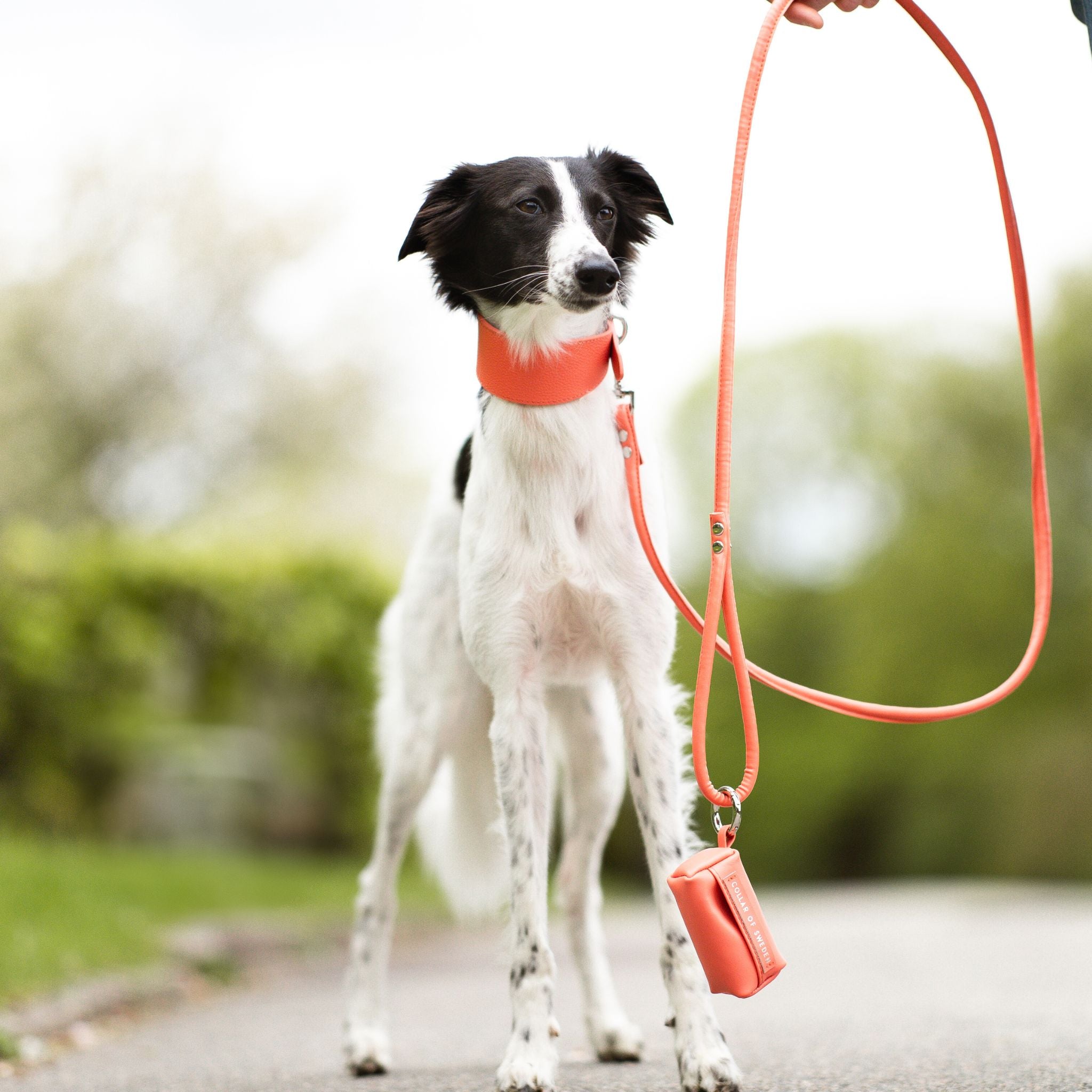 【完売品】NEIGHBORHOOD DOG COLLAR WIDE Peach Dog Collar Wide | Collar of Sweden