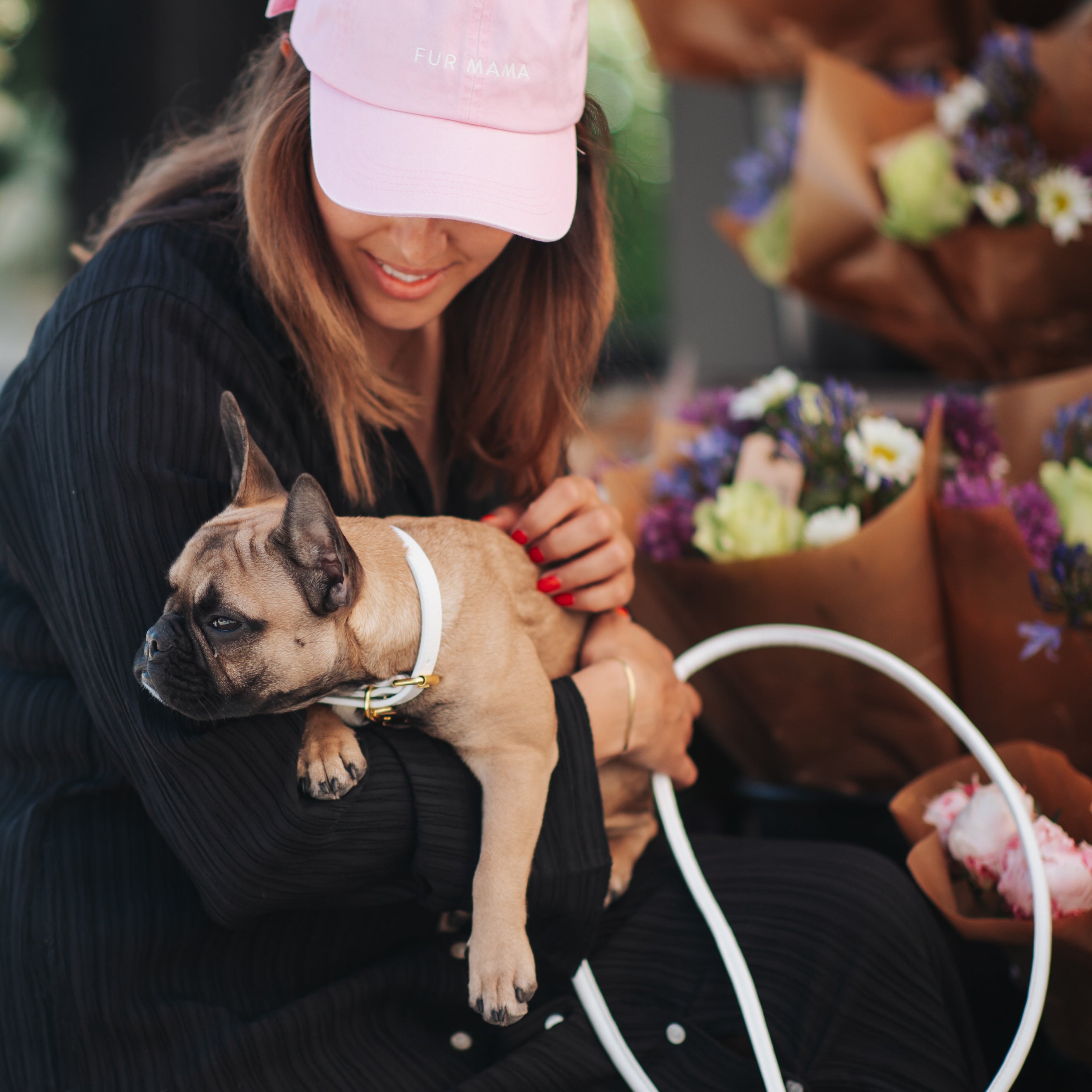 pink-cap-french-bulldog.jpg