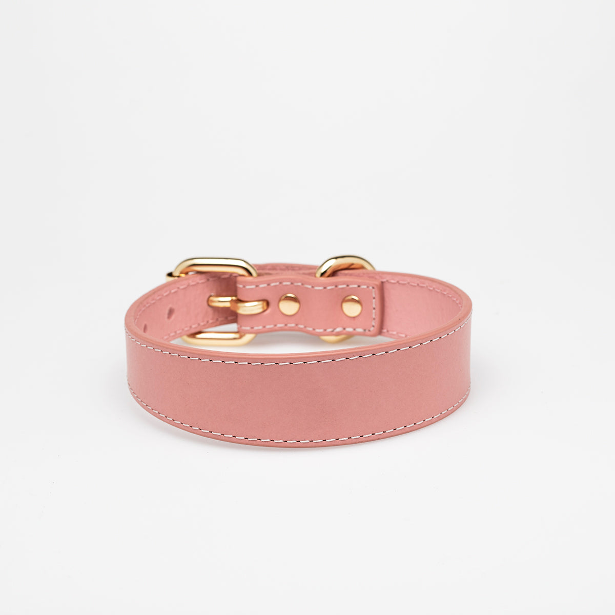 pink-dog-collar-medium-thin.jpg