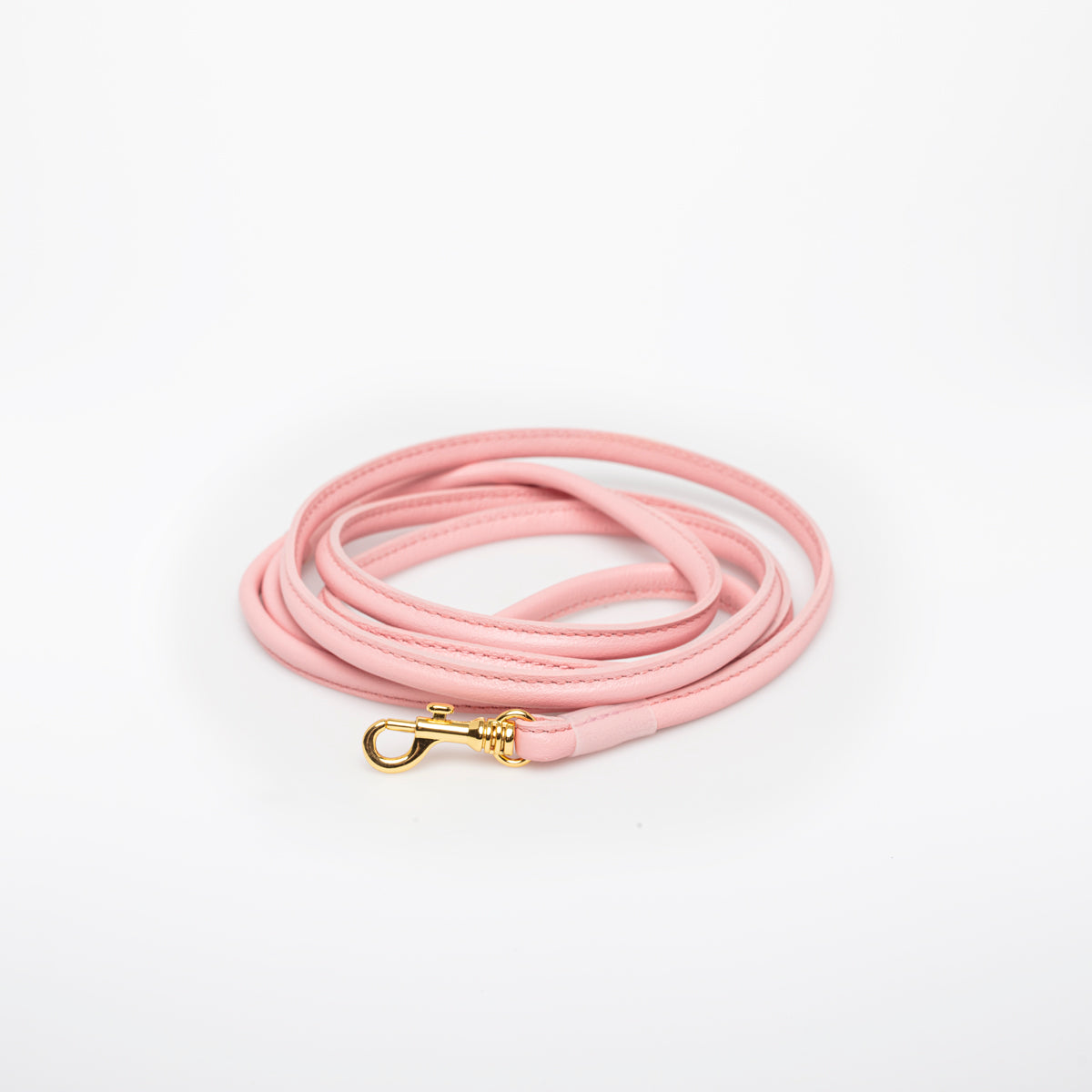 pink-dog-leash-small.jpg