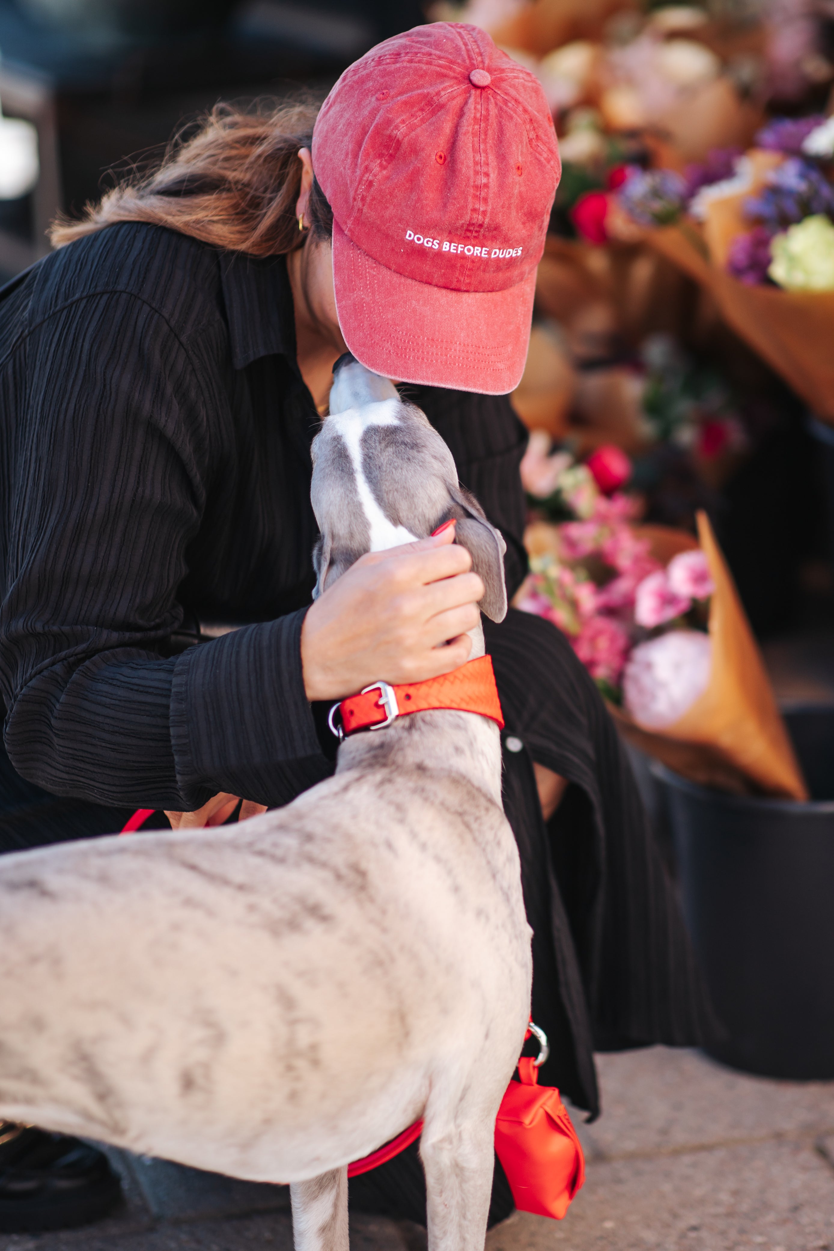 red-cap-whippet.jpg