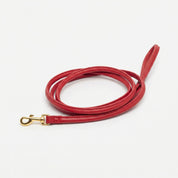 Red Dog Lead