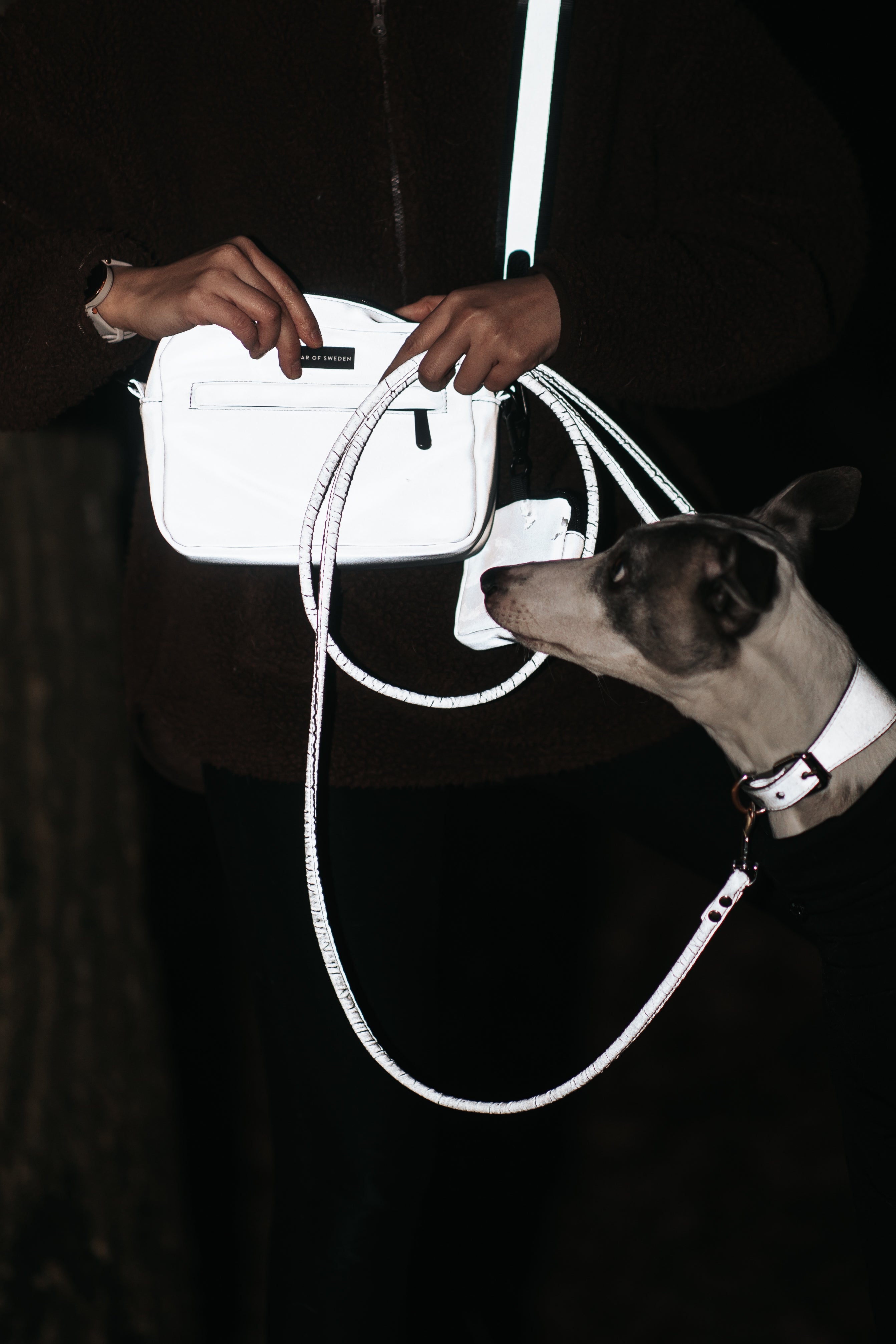 Reflective Dog Walking Bag - Crossbody
