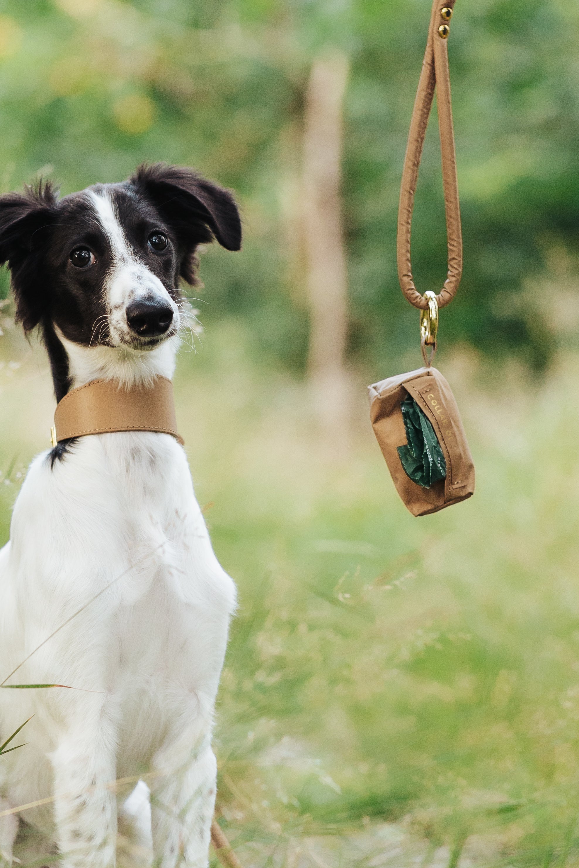 reflective-poop.bag-holder-card-image.jpg