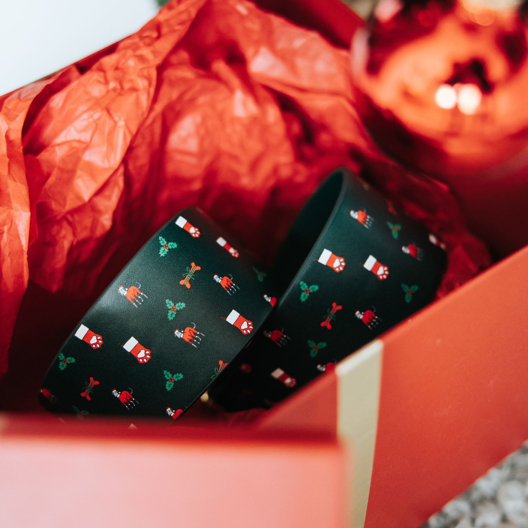 santa-paws-medium-wide-gift-box.jpg