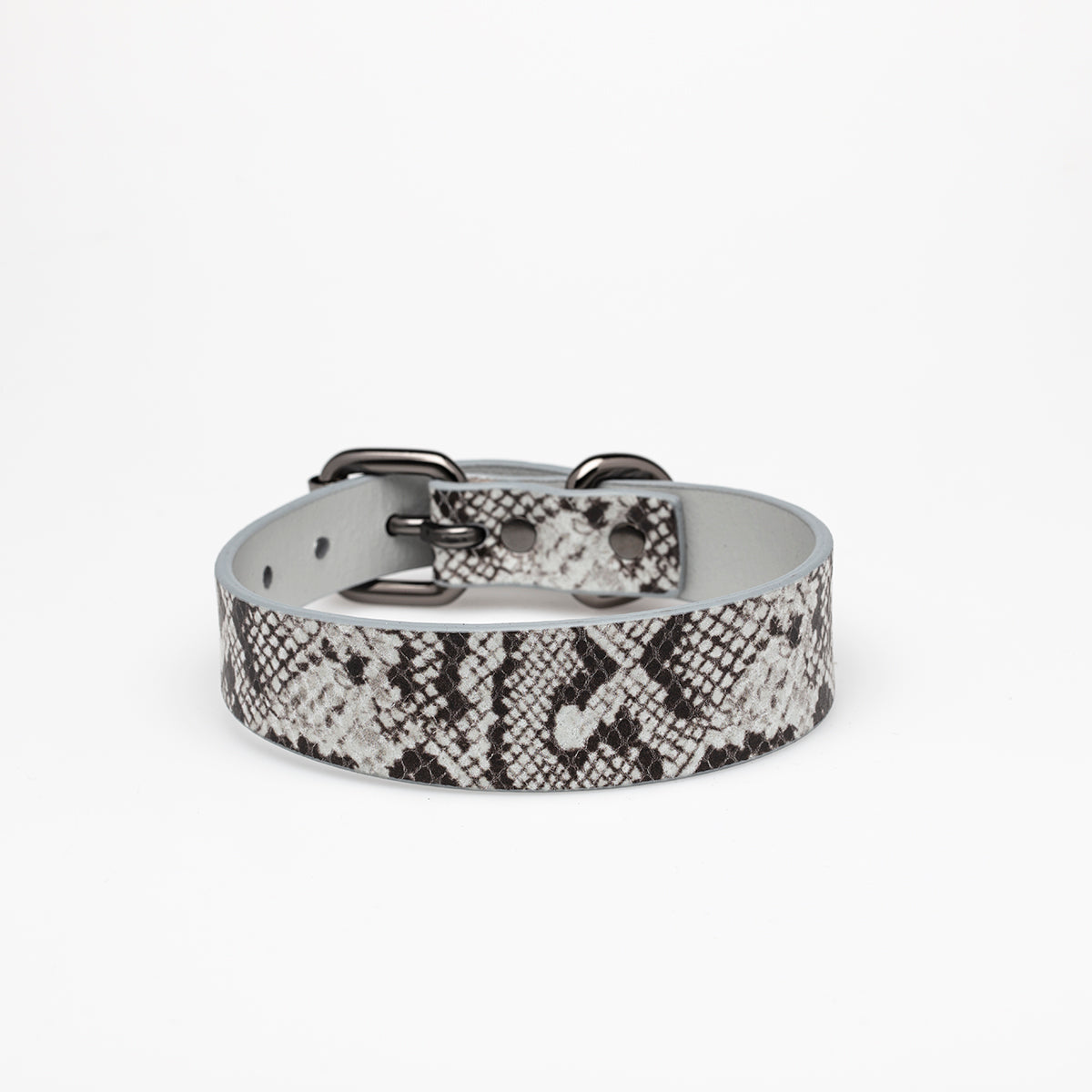 snake-dog-collar-medium-thin.jpg