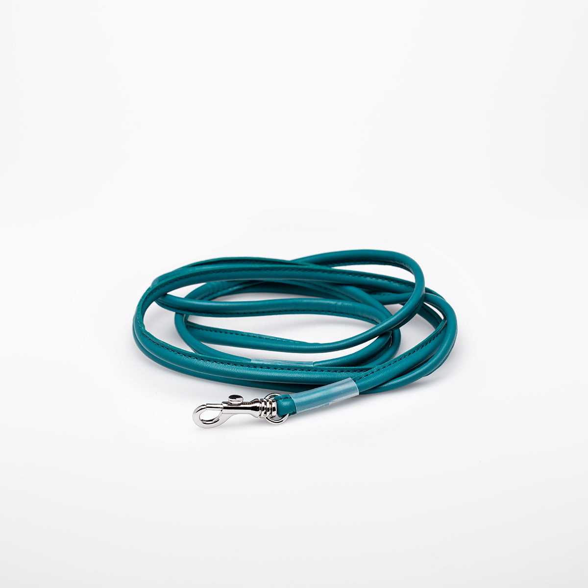 turquoise-dog-leash-small.jpg