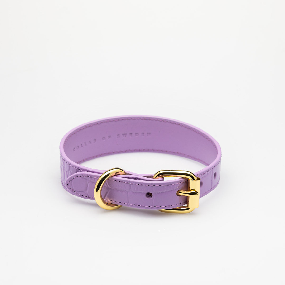 violet-croco-dog-collar-medium-thin-buckle.jpg