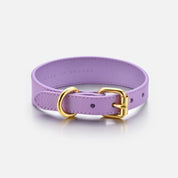 Violet Dog Collar Thin
