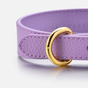 Violettes Hundehalsband Dünn