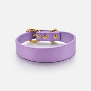 Violettes Hundehalsband Dünn