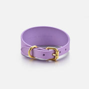 Violet Dog Collar Wide