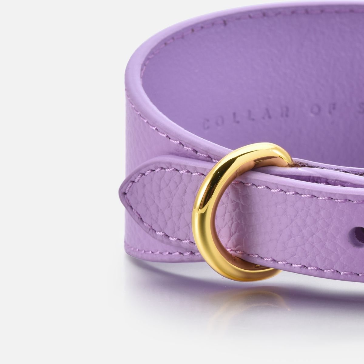 Violettes Hundehalsband Breit