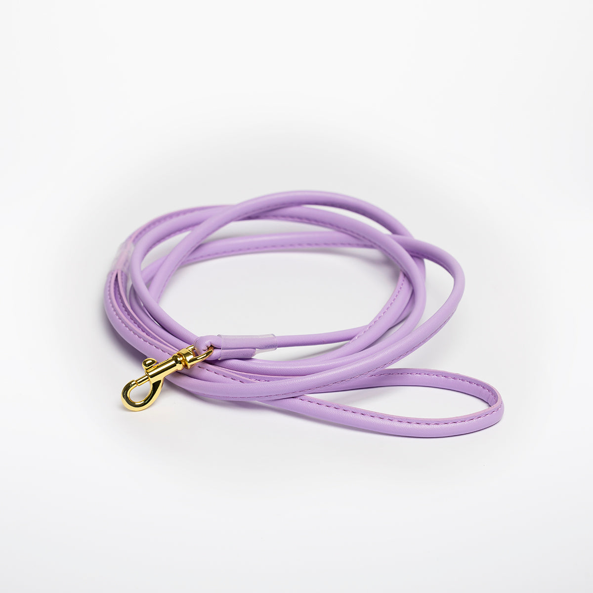 violet-dog-leash-small.jpg