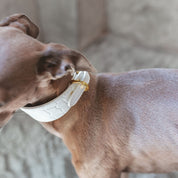 White Croco Dog Collar Wide