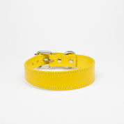 Yellow Dog Collar Thin