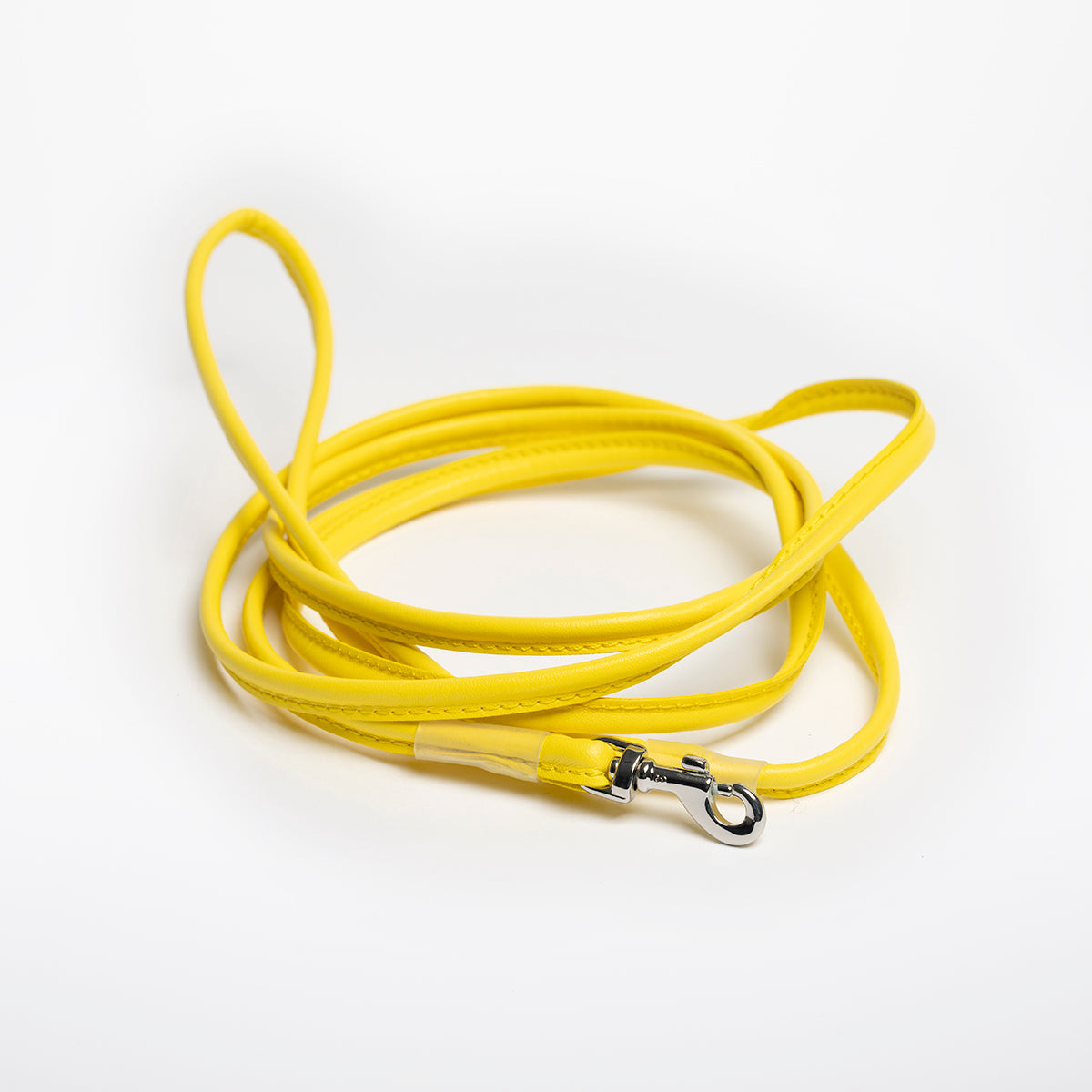 yellow-dog-leash-small.jpg