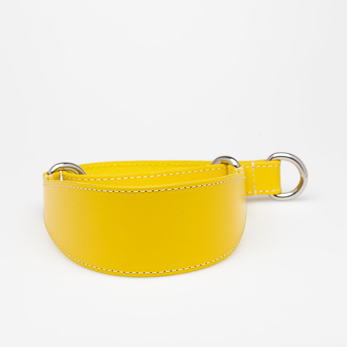 Yellow Dog Martingale Wide