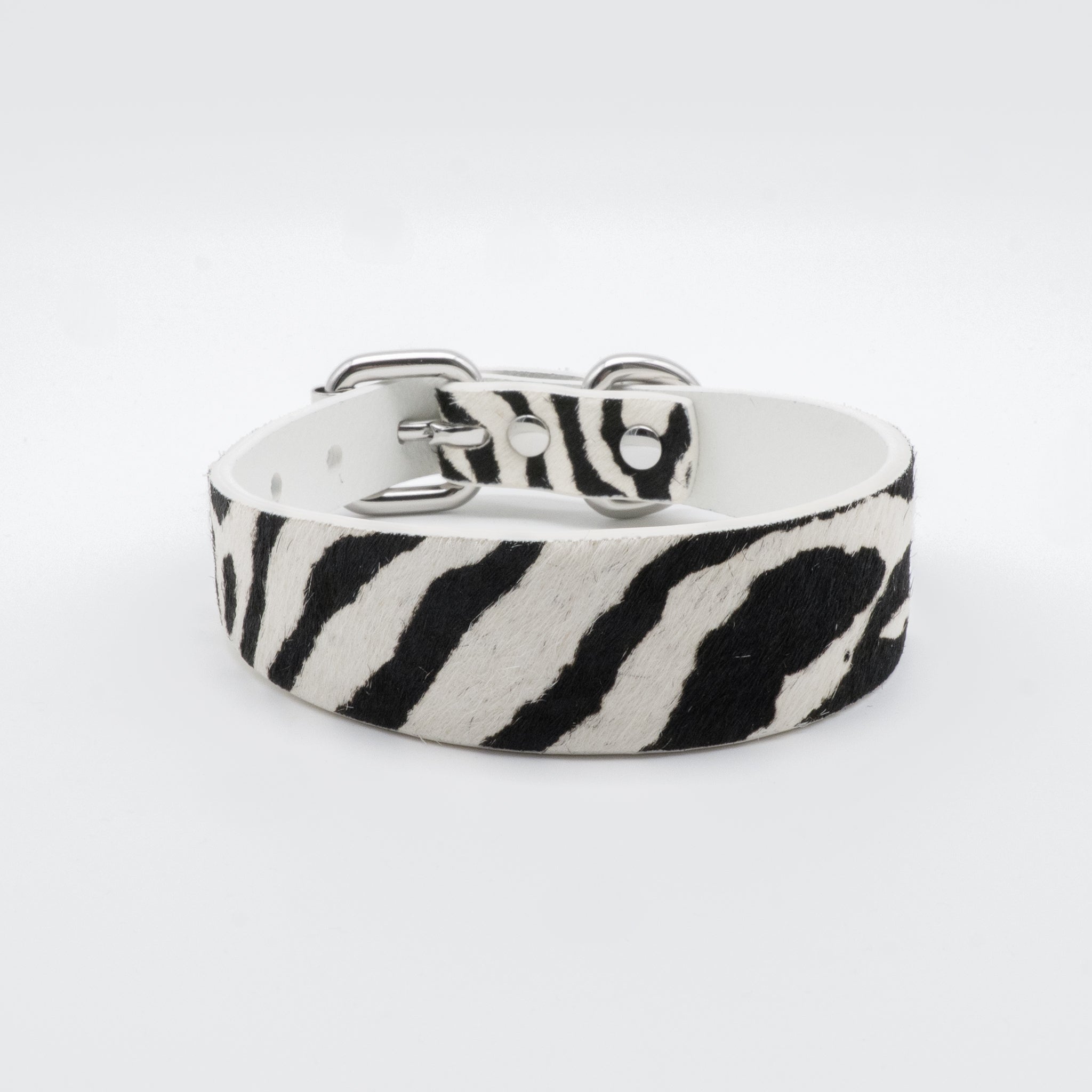 Zebra Dog Collar Thin