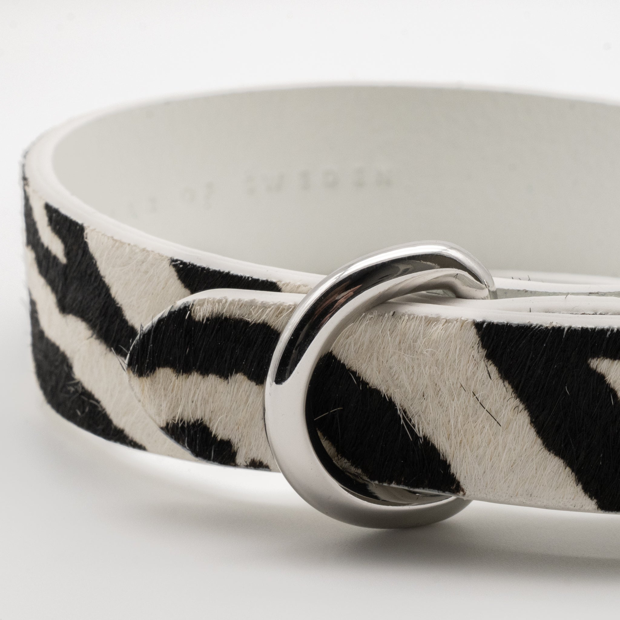 Zebra Dog Collar Thin