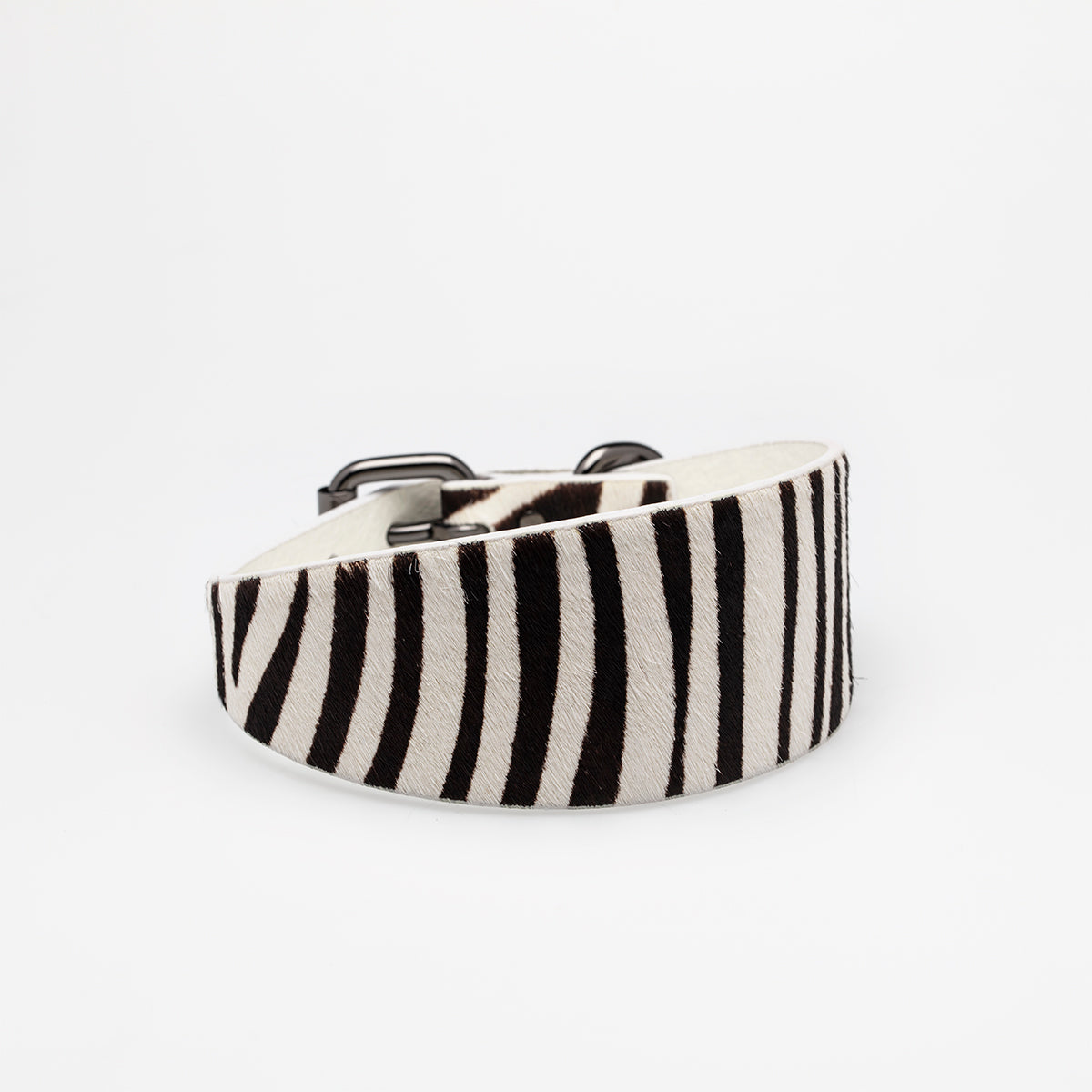 zebra-dog-collar-medium-wide.jpg
