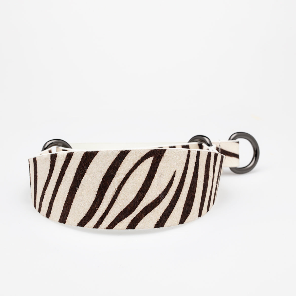 zebra-martingale-collar-medium-wide.jpg