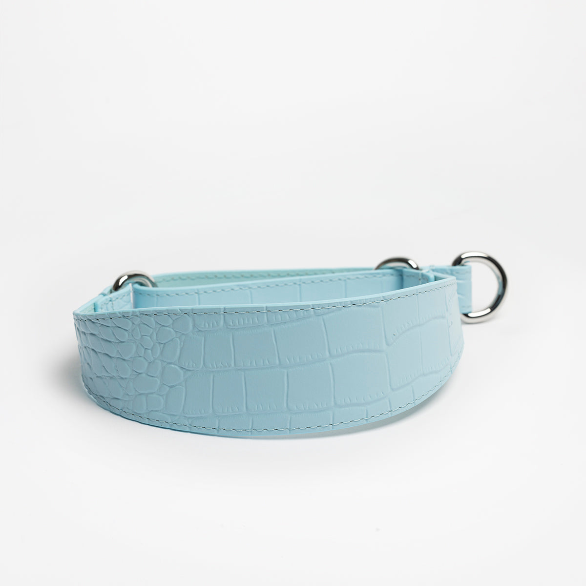 image - Baby Blue Leather Martingale Large Wide