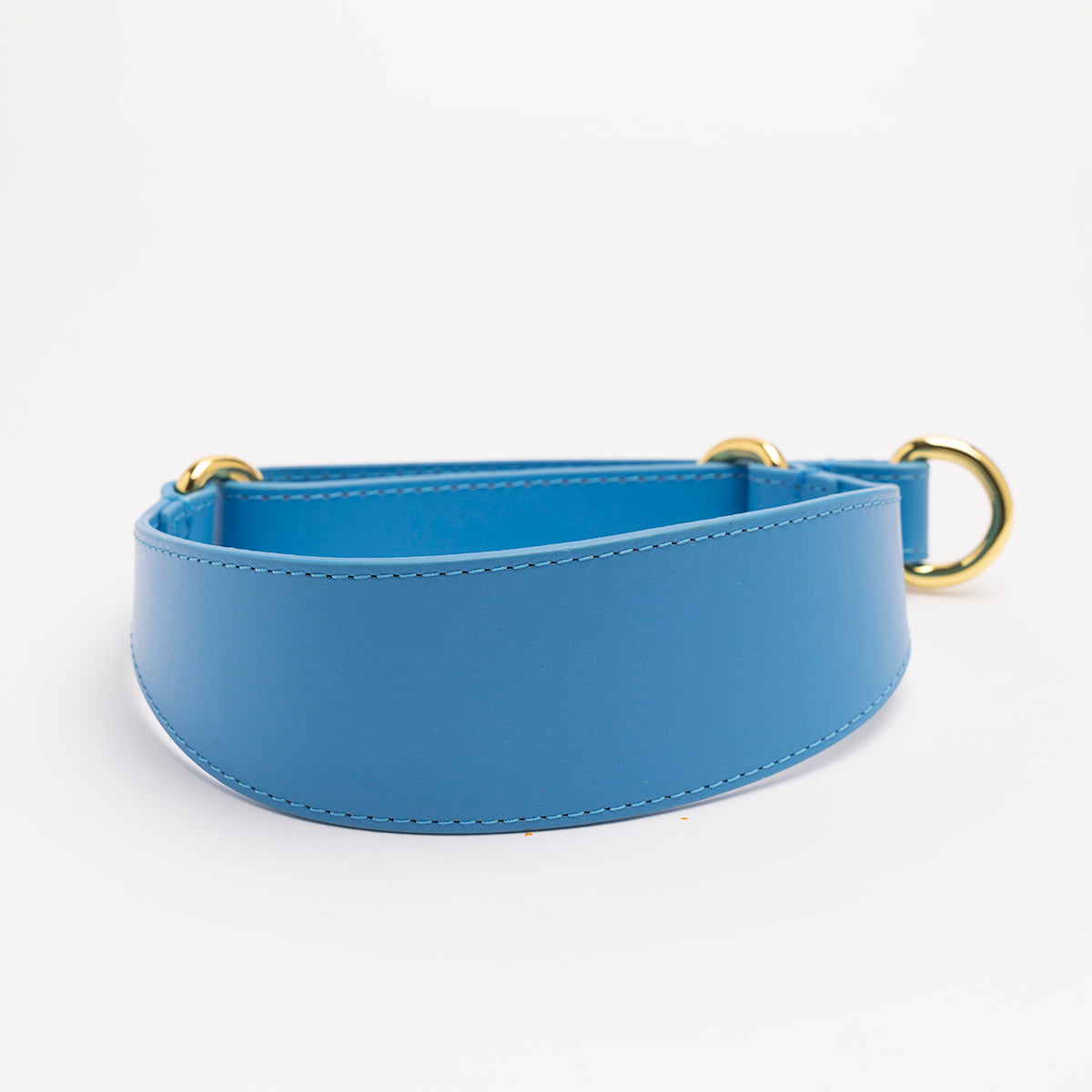 image - Neon Blue Leather Martingale Large Wide