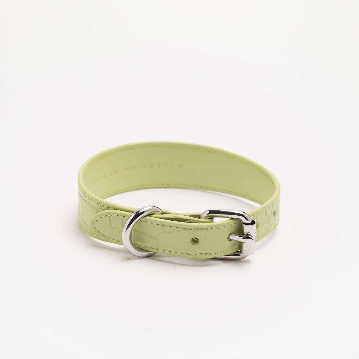 image - Pastel Green Croco Vegan Collar Large Thin
