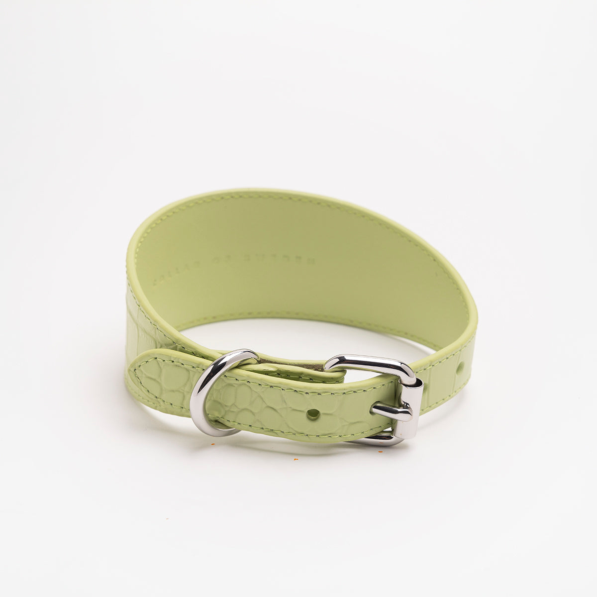 image - Pastel Green Croco Leather Collar XL Wide
